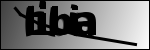 متن برای شناسایی