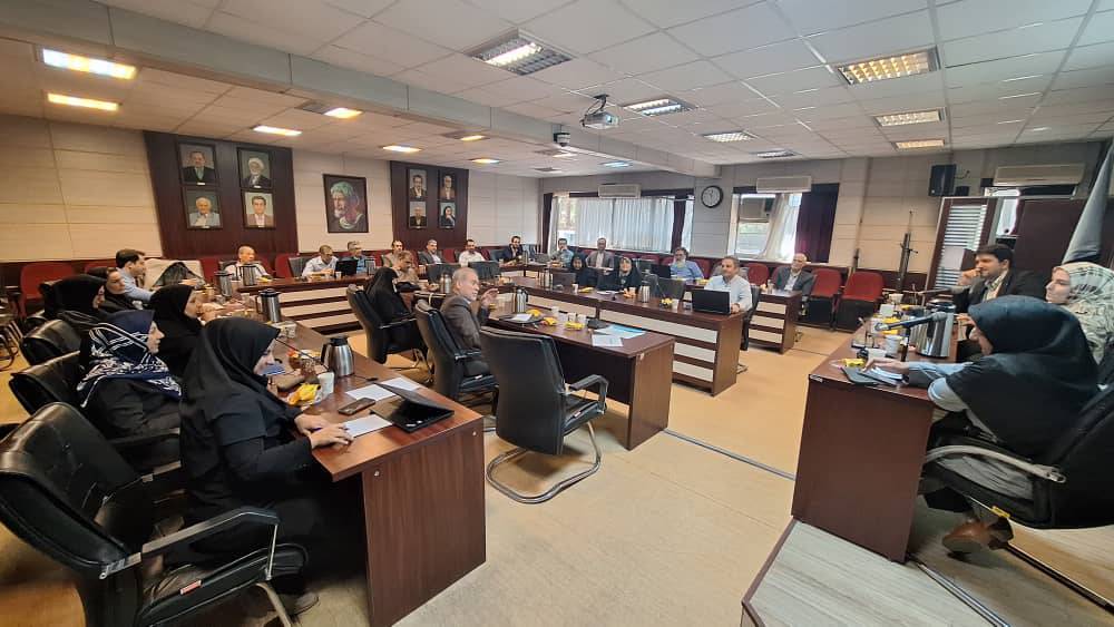 تصویر کوچک