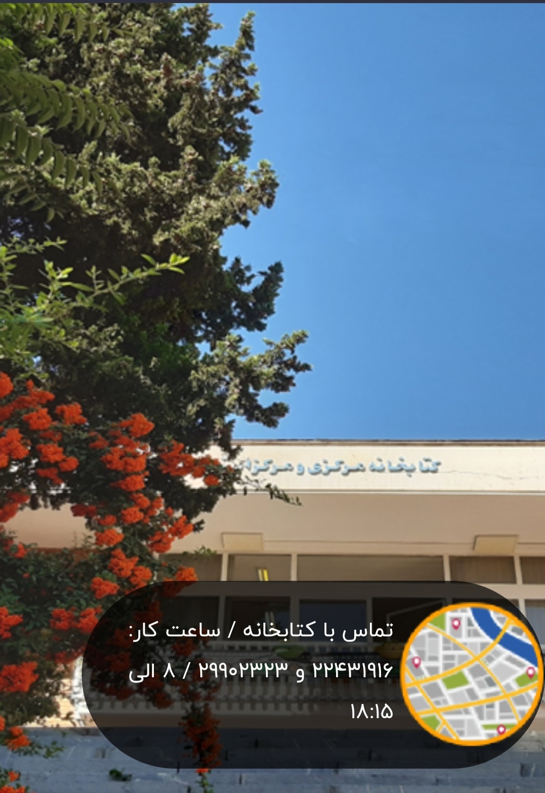 تصویر کوچک